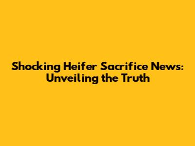 **Shocking Heifer Sacrifice News: Unveiling the Truth**