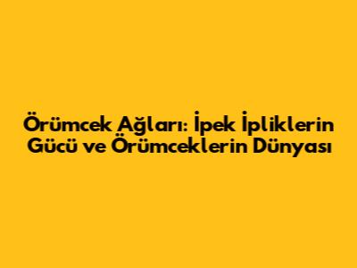 Örümcek Ağları: İpek İpliklerin Gücü ve Örümceklerin Dünyası