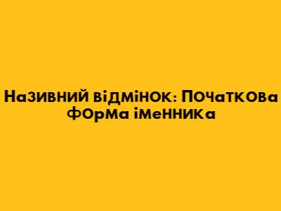 Називний відмінок: Початкова форма іменника