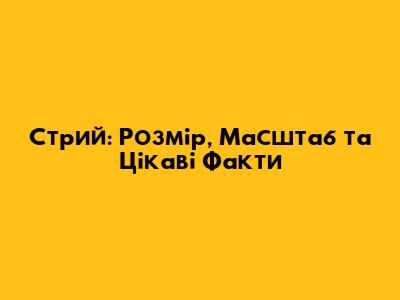 Стрий: Розмір, Масштаб та Цікаві Факти