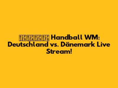 🇩🇪🇩🇰 Handball WM: Deutschland vs. Dänemark Live Stream!