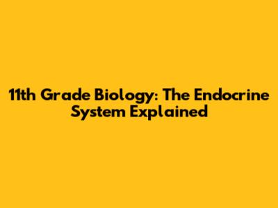 11th Grade Biology: The Endocrine System Explained