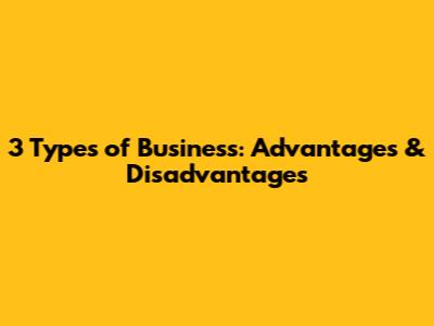 3 Types of Business: Advantages & Disadvantages