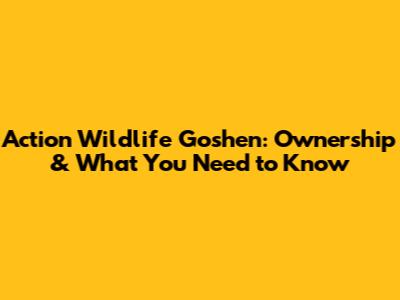 Action Wildlife Goshen: Ownership & What You Need to Know