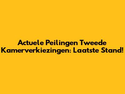 Actuele Peilingen Tweede Kamerverkiezingen: Laatste Stand!