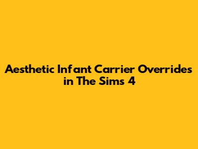 Aesthetic Infant Carrier Overrides in The Sims 4