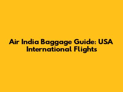 Air India Baggage Guide: USA International Flights