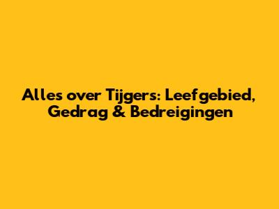 Alles over Tijgers: Leefgebied, Gedrag & Bedreigingen