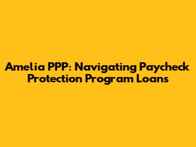 Amelia PPP: Navigating Paycheck Protection Program Loans