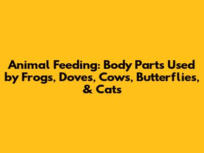 Animal Feeding: Body Parts Used by Frogs, Doves, Cows, Butterflies, & Cats