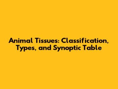 Animal Tissues: Classification, Types, and Synoptic Table