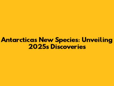 Antarctica's New Species: Unveiling 2025's Discoveries