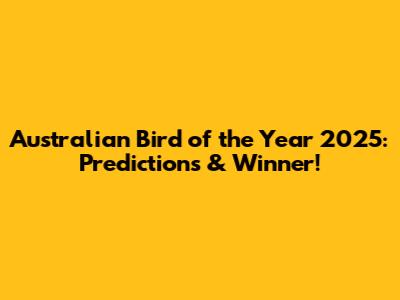 Australian Bird of the Year 2025: Predictions & Winner!