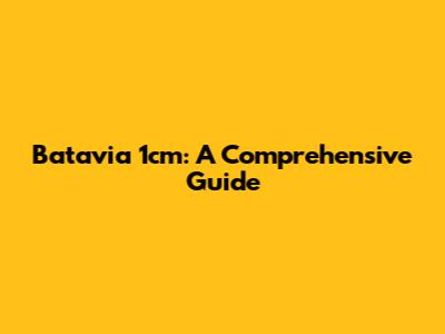 Batavia 1cm: A Comprehensive Guide