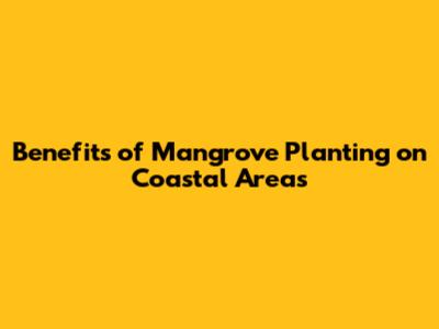 Benefits of Mangrove Planting on Coastal Areas