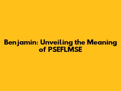 Benjamin: Unveiling the Meaning of PSEFLMSE