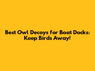 Best Owl Decoys for Boat Docks: Keep Birds Away!