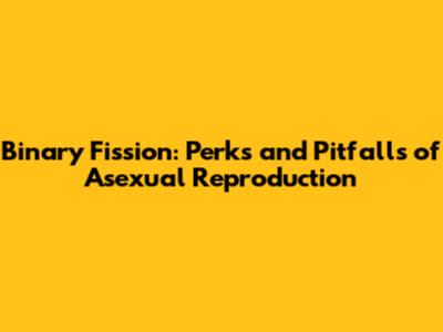 Binary Fission: Perks and Pitfalls of Asexual Reproduction