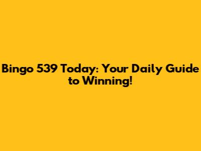 Bingo 539 Today: Your Daily Guide to Winning!