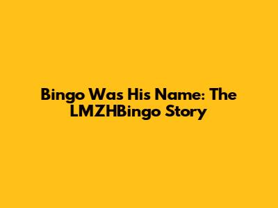Bingo Was His Name: The LMZHBingo Story