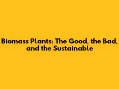 Biomass Plants: The Good, the Bad, and the Sustainable