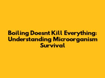 Boiling Doesn't Kill Everything: Understanding Microorganism Survival