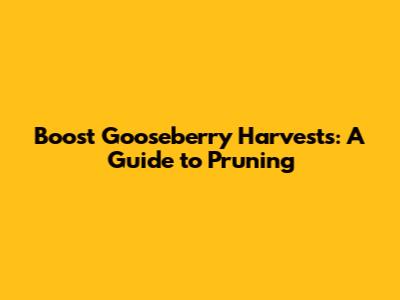 Boost Gooseberry Harvests: A Guide to Pruning