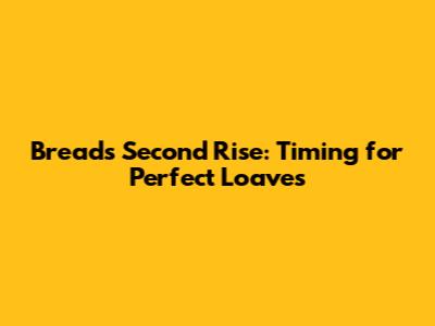 Bread's Second Rise: Timing for Perfect Loaves