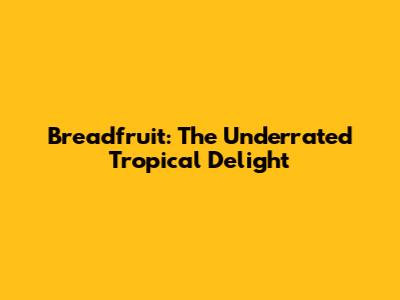Breadfruit: The Underrated Tropical Delight