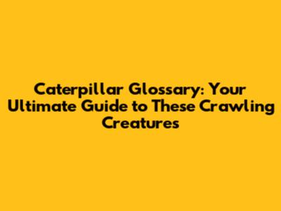 Caterpillar Glossary: Your Ultimate Guide to These Crawling Creatures