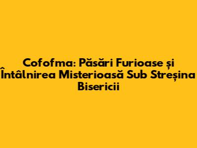 Cofofma: Păsări Furioase și Întâlnirea Misterioasă Sub Streșina Bisericii