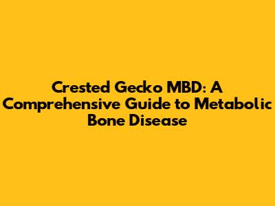 Crested Gecko MBD: A Comprehensive Guide to Metabolic Bone Disease