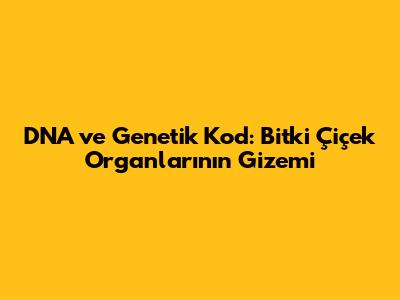 DNA ve Genetik Kod: Bitki Çiçek Organlarının Gizemi