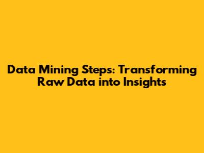 Data Mining Steps: Transforming Raw Data into Insights