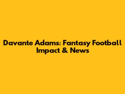 Davante Adams: Fantasy Football Impact & News