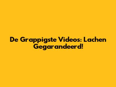 De Grappigste Video's: Lachen Gegarandeerd!
