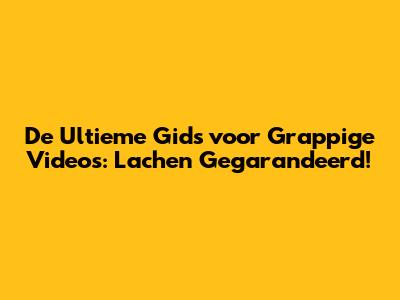De Ultieme Gids voor Grappige Video's: Lachen Gegarandeerd!
