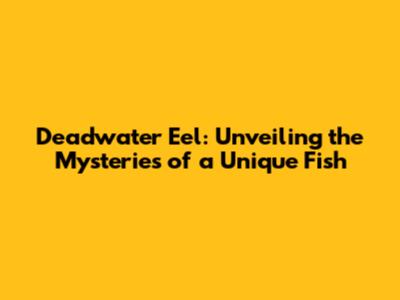 Deadwater Eel: Unveiling the Mysteries of a Unique Fish