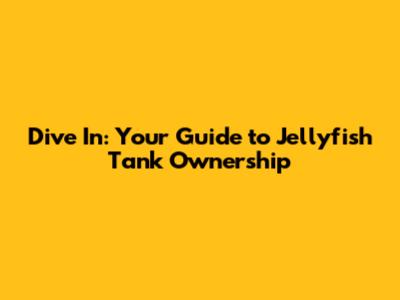 Dive In: Your Guide to Jellyfish Tank Ownership