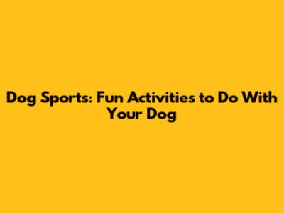 Dog Sports: Fun Activities to Do With Your Dog