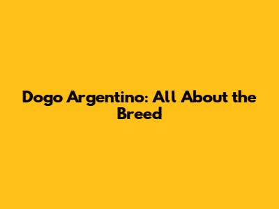 Dogo Argentino: All About the Breed