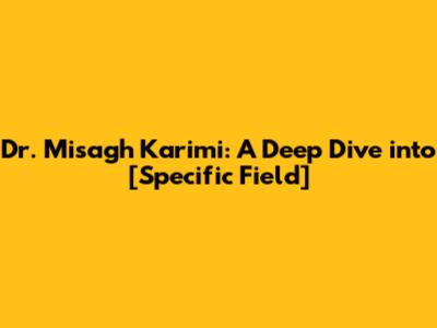 Dr. Misagh Karimi: A Deep Dive into [Specific Field]