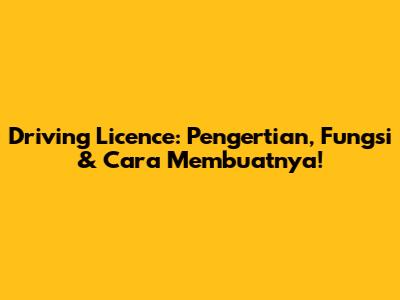 Driving Licence: Pengertian, Fungsi & Cara Membuatnya!