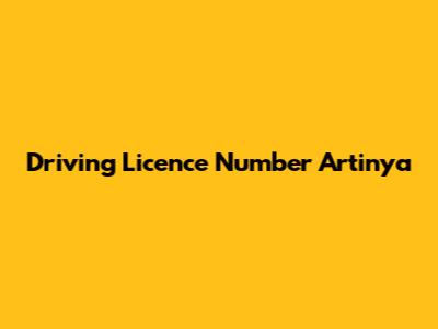 Driving Licence Number Artinya