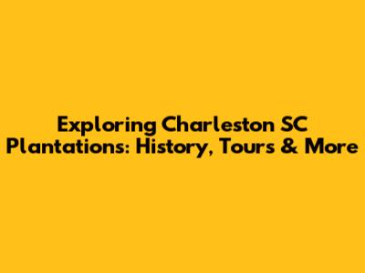Exploring Charleston SC Plantations: History, Tours & More