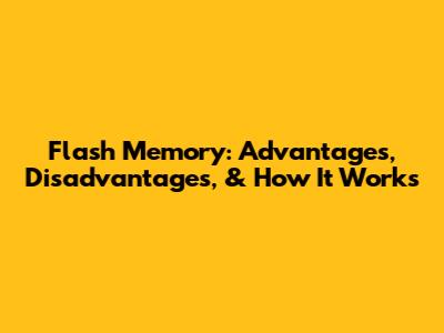 Flash Memory: Advantages, Disadvantages, & How It Works
