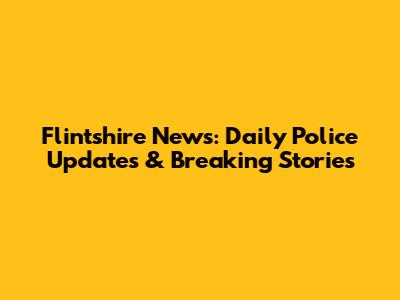 Flintshire News: Daily Police Updates & Breaking Stories