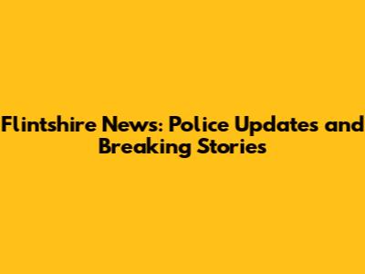 Flintshire News: Police Updates and Breaking Stories