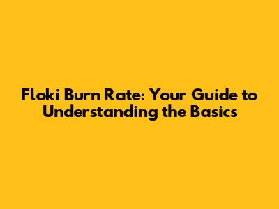 Floki Burn Rate: Your Guide to Understanding the Basics