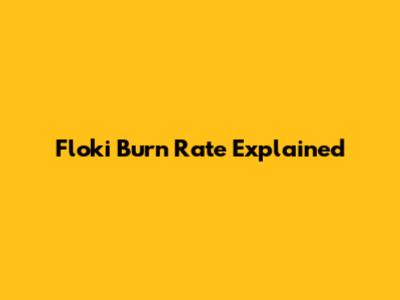 Floki Burn Rate Explained